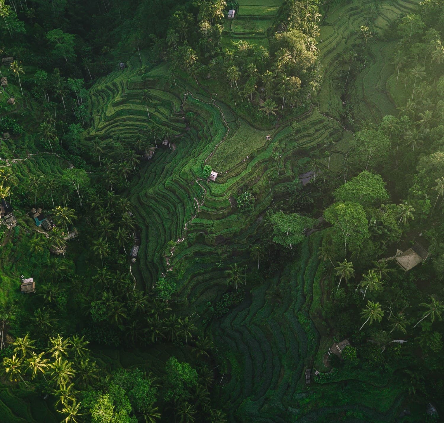 Image of PureTeach Image of PureTeach